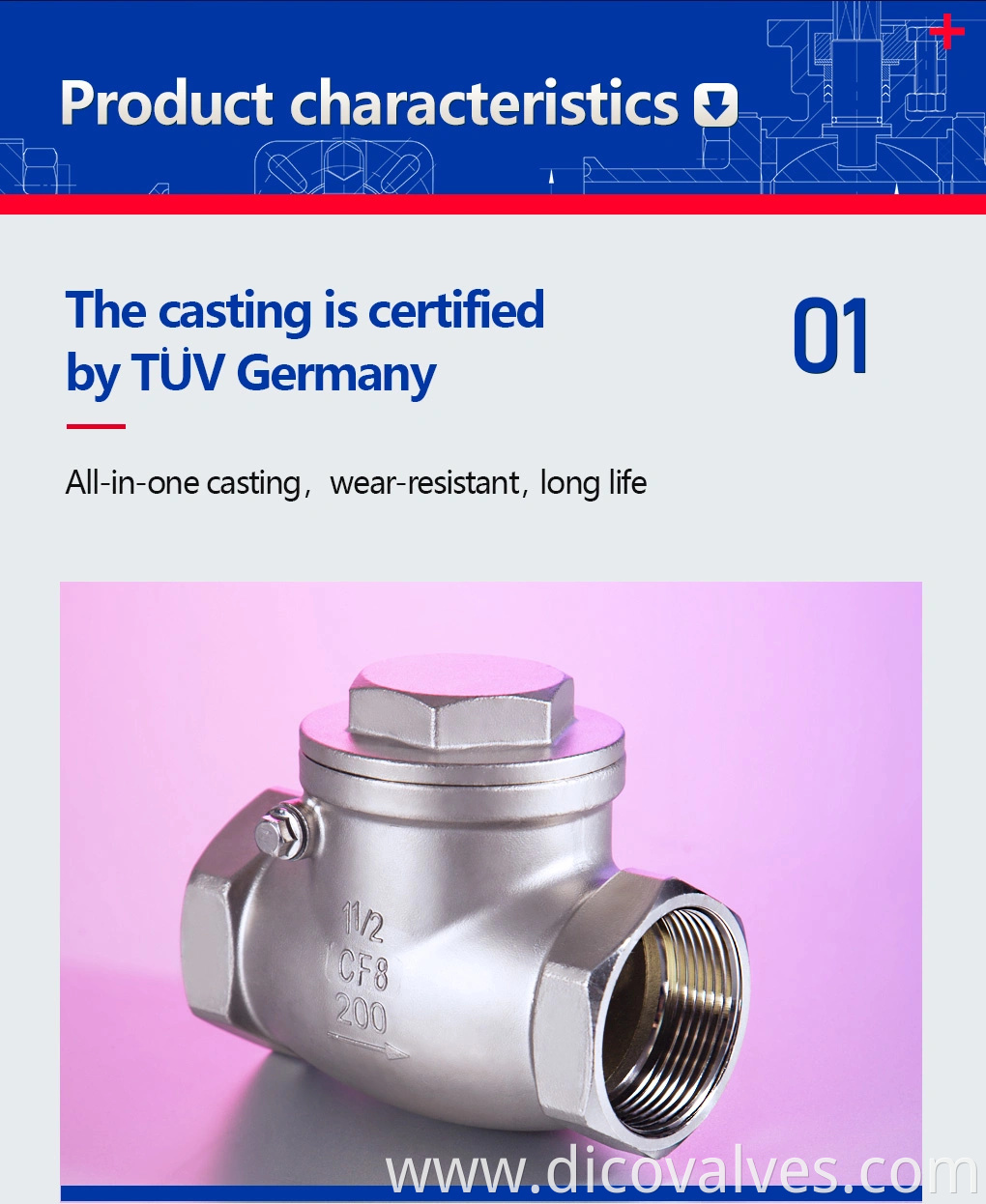 CE ISO Ts 200wog Stainless Steel Bsp/BSPT Industrial Swing Check Valve